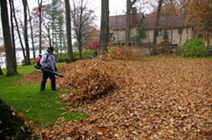 leaf pick up montreal westiland