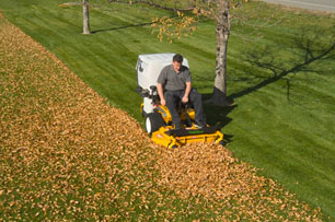 leaf pick up montreal westiland